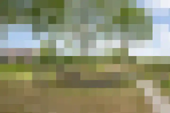 Hazenbos 29 Hedel thumbnail 58
