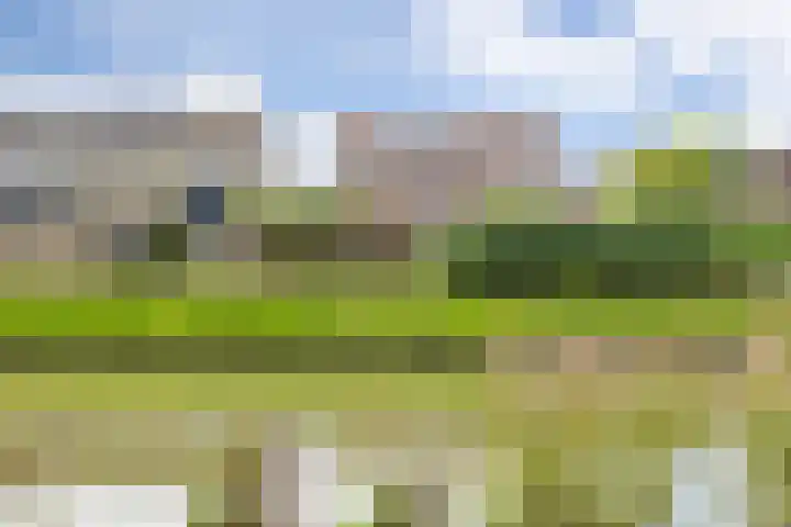Hazenbos 29 Hedel thumbnail 60