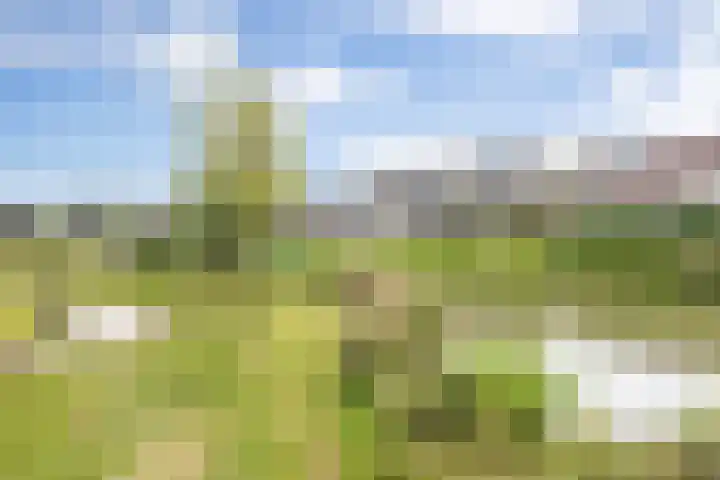 Hazenbos 29 Hedel thumbnail 62