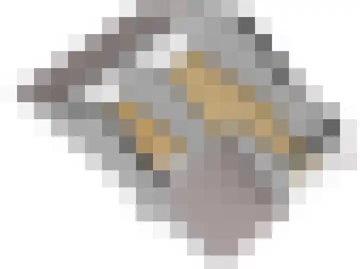 Hazenbos 29 Hedel thumbnail 68