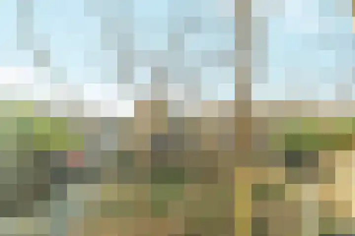 Hazenburg 28 Barendrecht thumbnail 21