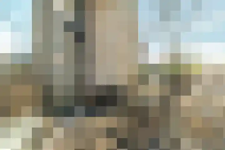 Hazenburg 28 Barendrecht thumbnail 22