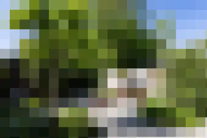 Hazendam 11 Achterveld thumbnail 11