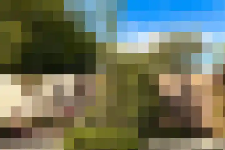 Hazendam 11 Achterveld thumbnail 12
