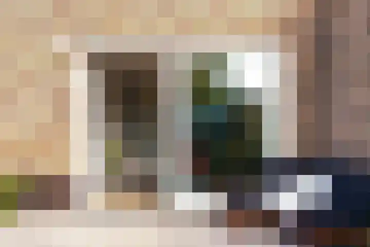 Hazendam 11 Achterveld thumbnail 13