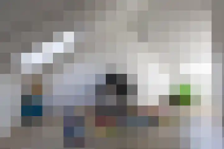 Hazendam 11 Achterveld thumbnail 20