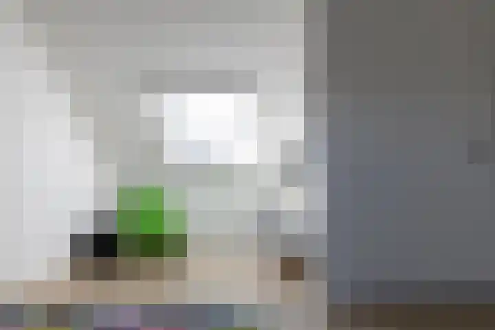 Hazendam 11 Achterveld thumbnail 21