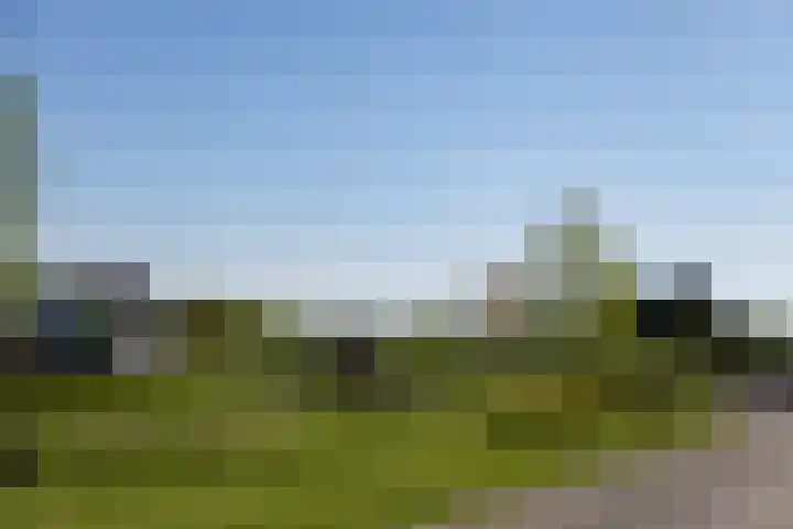Hazendam 11 Achterveld thumbnail 25