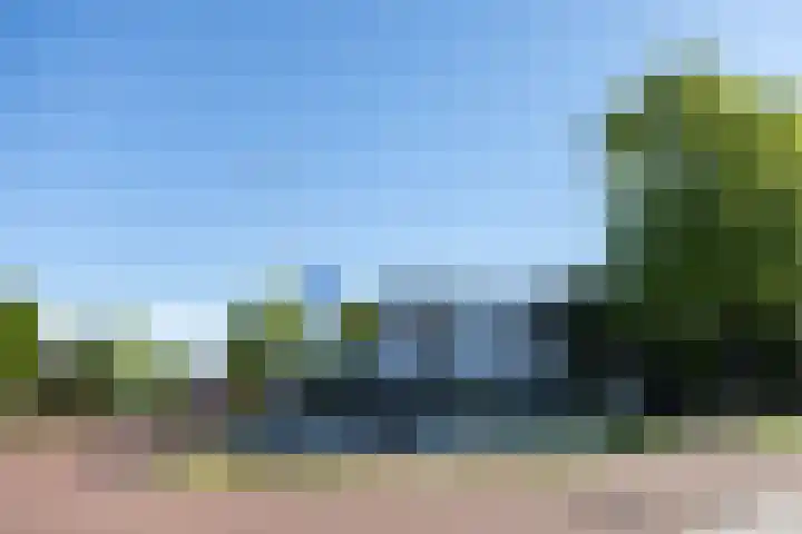 Hazendam 11 Achterveld thumbnail 26