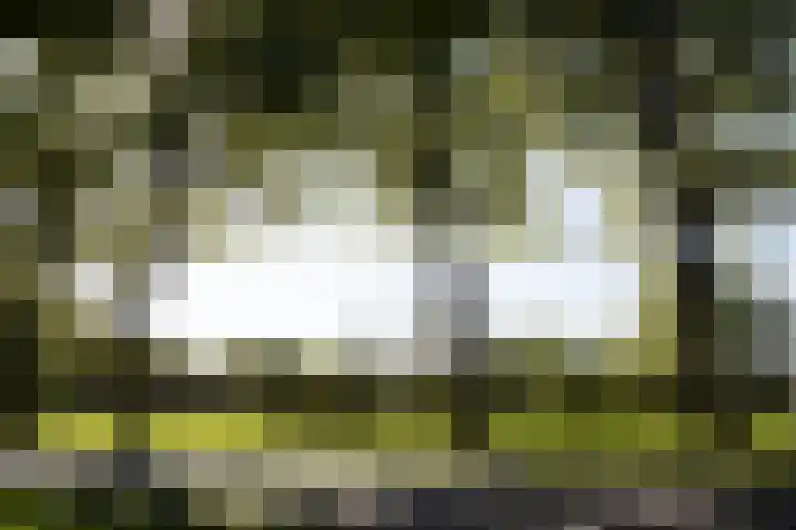Hazendam 11 Achterveld thumbnail 27