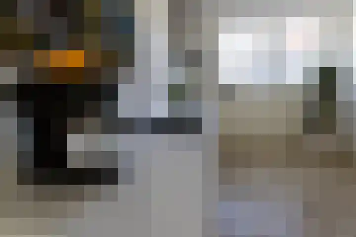 Hazendam 11 Achterveld thumbnail 8