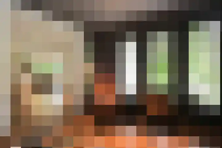 Hazenloop 15 Eindhoven thumbnail 11