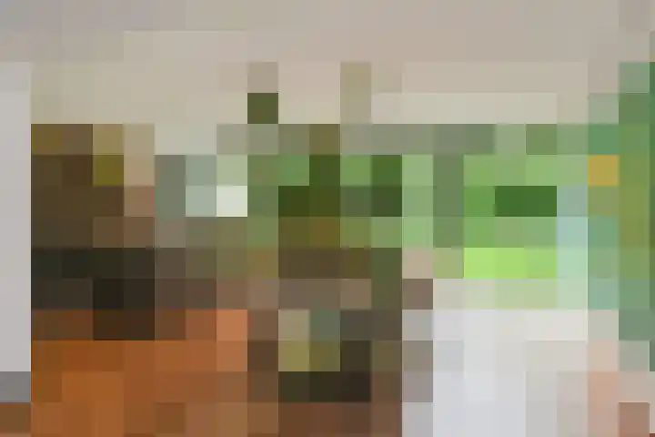 Hazenloop 15 Eindhoven thumbnail 12