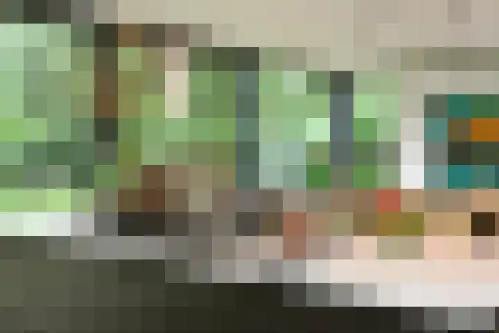 Hazenloop 15 Eindhoven thumbnail 18