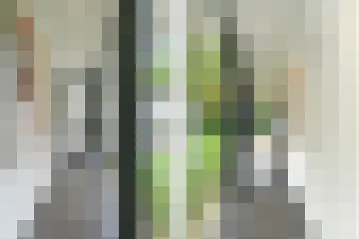 Hazenloop 15 Eindhoven thumbnail 20