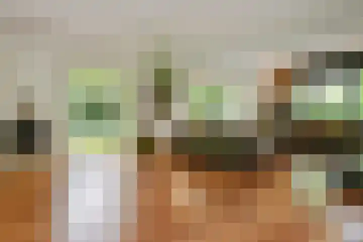 Hazenloop 15 Eindhoven thumbnail 4
