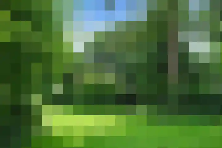 Hazenloop 15 Eindhoven thumbnail 42