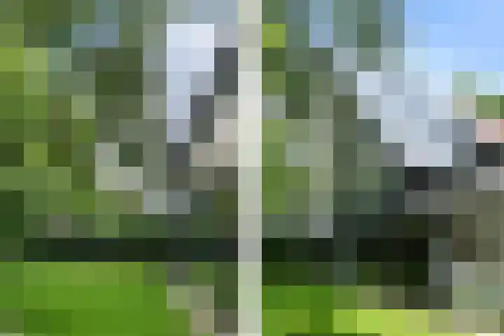 Hazenloop 15 Eindhoven thumbnail 43