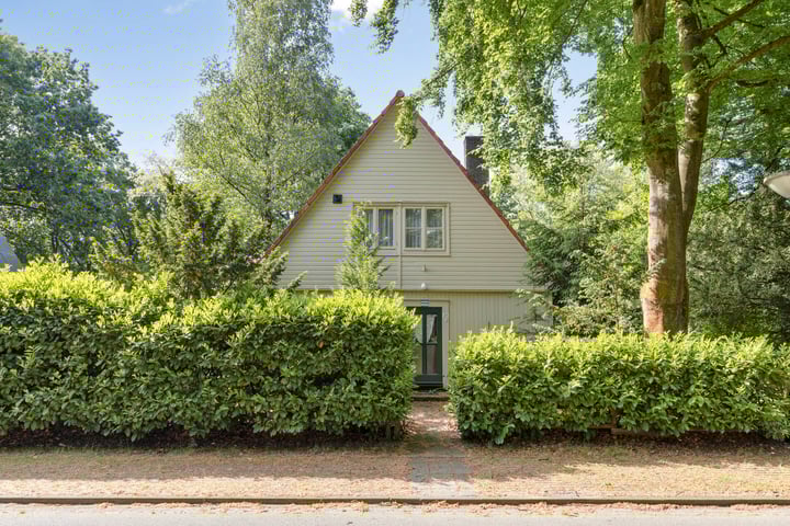 Hazenloop 31 in Eindhoven foto