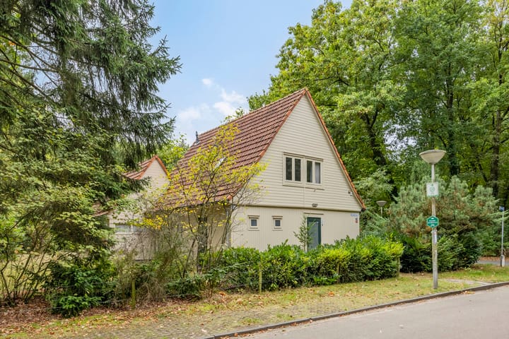 Hazenloop 33 in Eindhoven foto