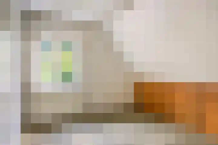 Hazenloop 33 Eindhoven thumbnail 26