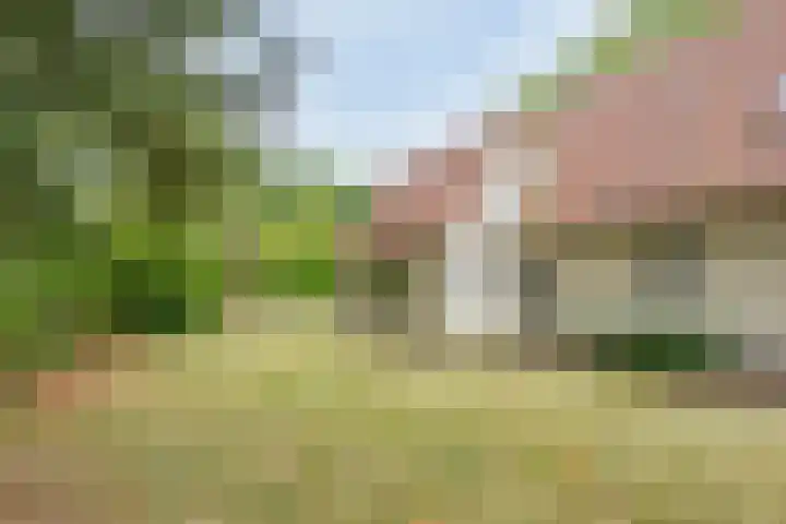 Hazenloop 33 Eindhoven thumbnail 29