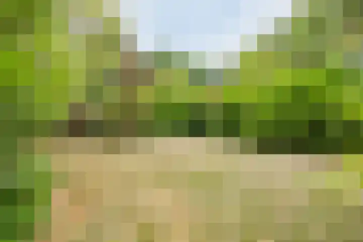 Hazenloop 33 Eindhoven thumbnail 30