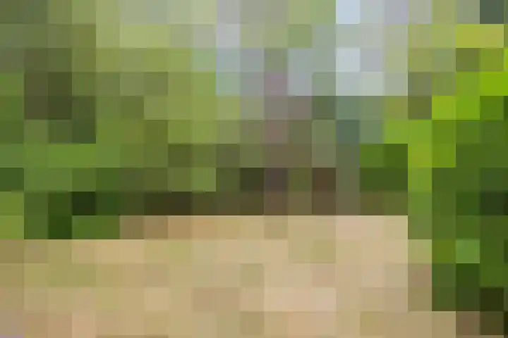 Hazenloop 33 Eindhoven thumbnail 31
