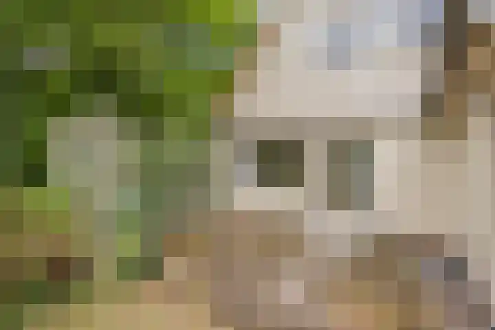 Hazenloop 33 Eindhoven thumbnail 32