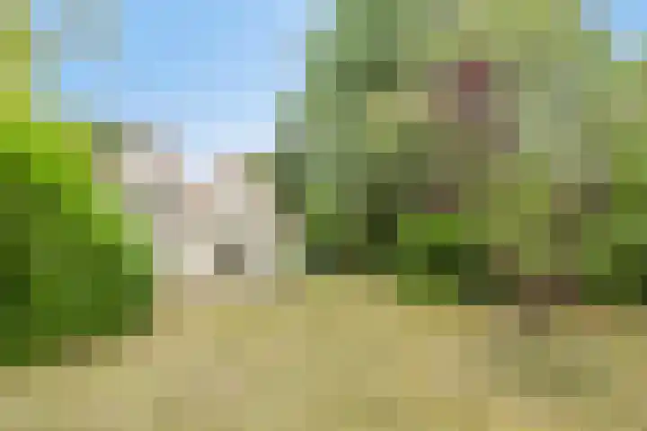 Hazenloop 33 Eindhoven thumbnail 33