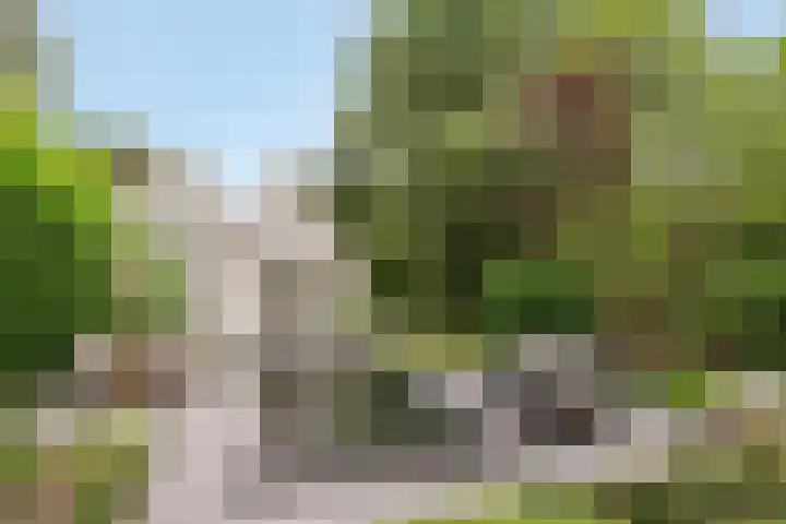 Hazenloop 33 Eindhoven thumbnail 34