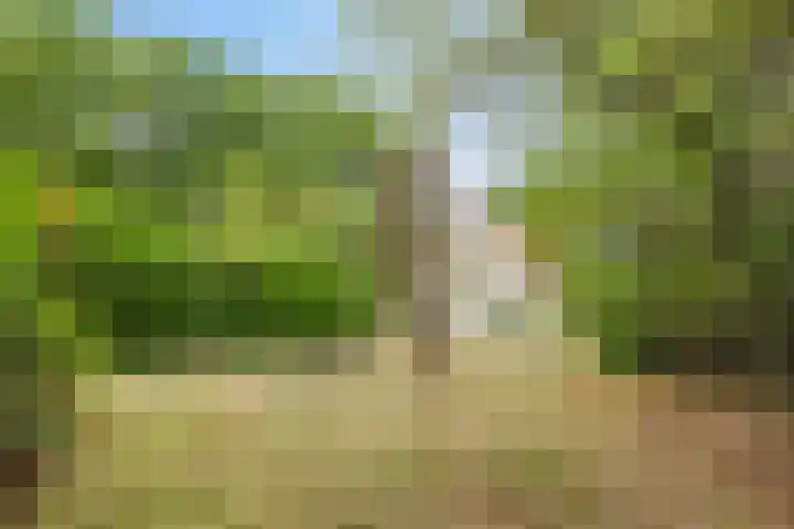 Hazenloop 33 Eindhoven thumbnail 35