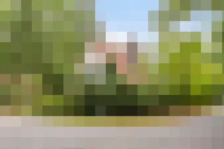 Hazenloop 33 Eindhoven thumbnail 4