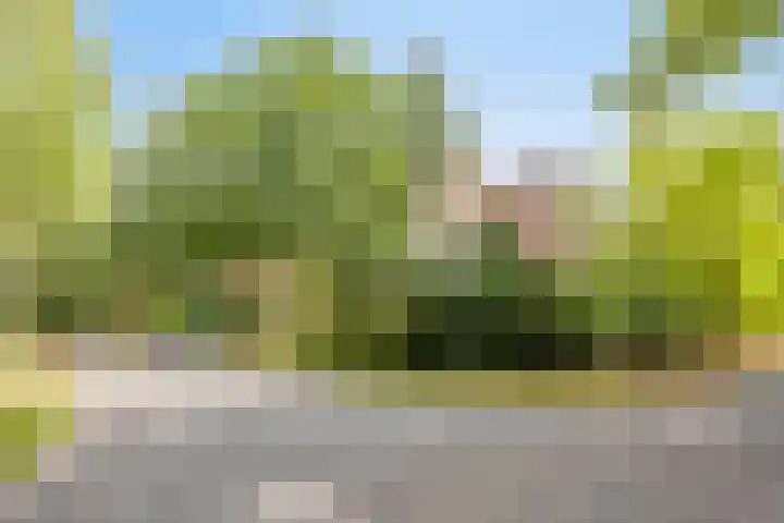 Hazenloop 33 Eindhoven thumbnail 5