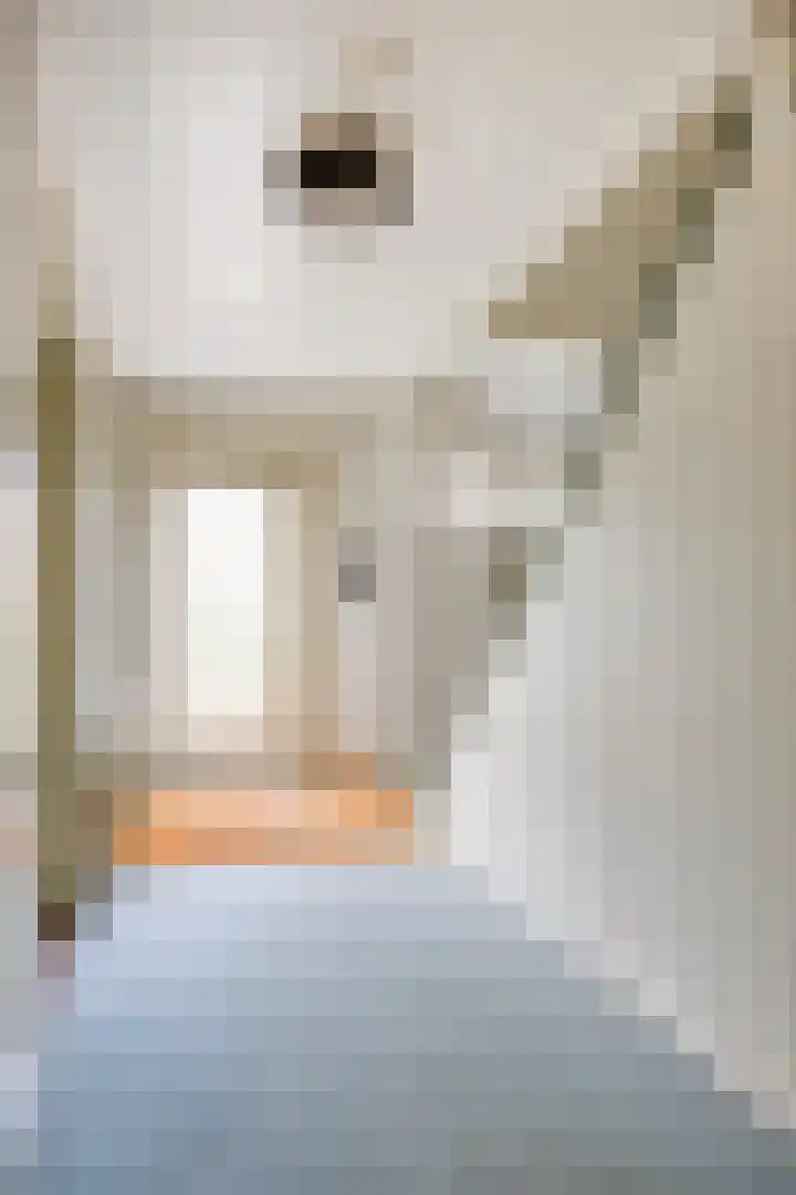 Hazenloop 33 Eindhoven thumbnail 8