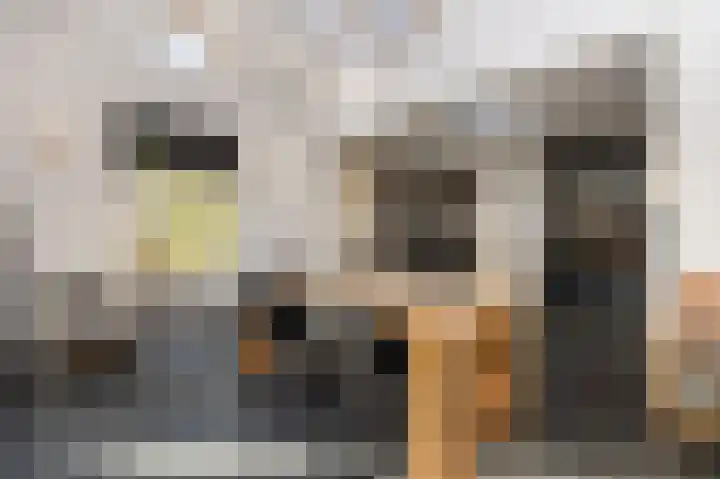 Hazenpad 26 Leur thumbnail 10