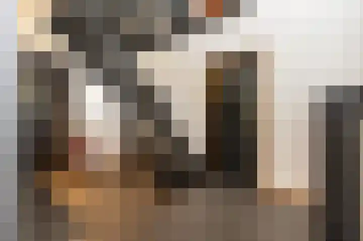 Hazenpad 26 Leur thumbnail 21