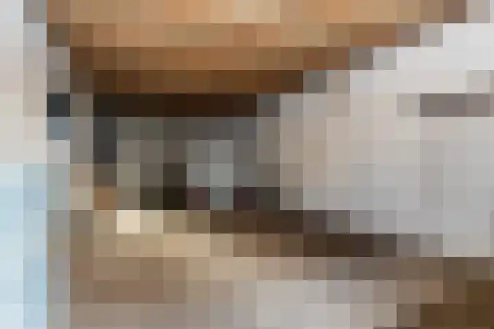 Hazenpad 26 Leur thumbnail 35