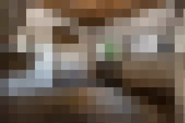 Hazenpad 26 Leur thumbnail 36