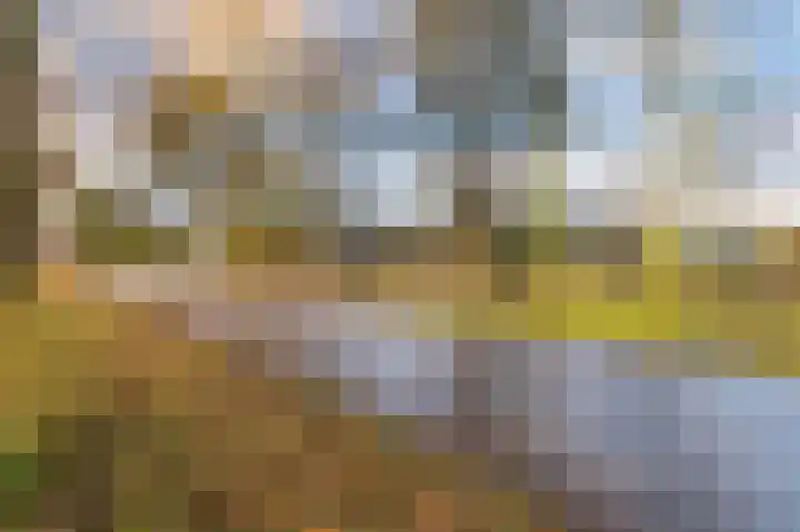 Hazenpad 26 Leur thumbnail 38