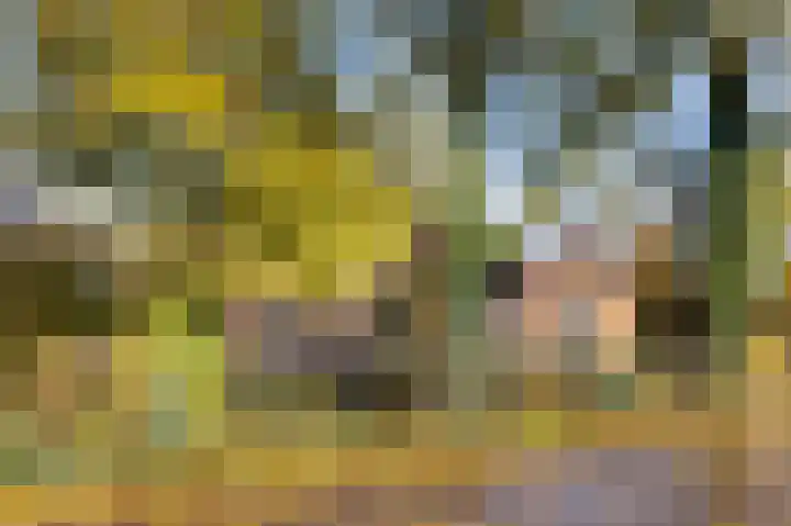 Hazenpad 26 Leur thumbnail 40