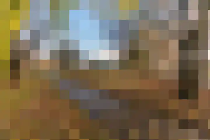 Hazenpad 26 Leur thumbnail 44