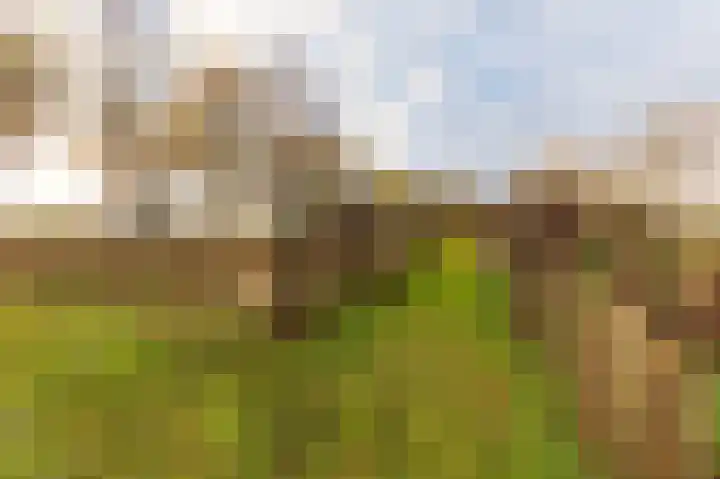 Hazenpad 26 Leur thumbnail 51