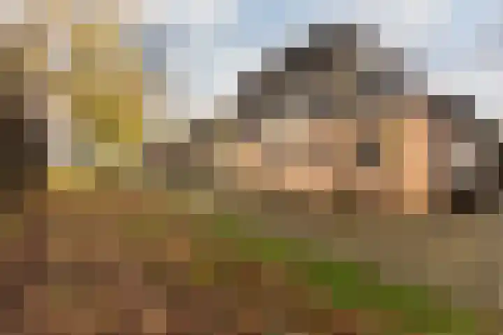 Hazenpad 26 Leur thumbnail 52
