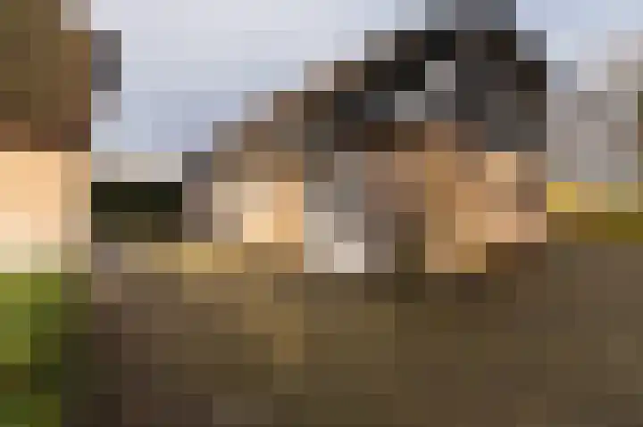 Hazenpad 26 Leur thumbnail 54