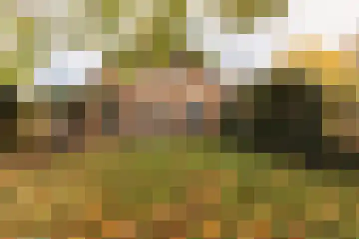 Hazenpad 26 Leur thumbnail 59