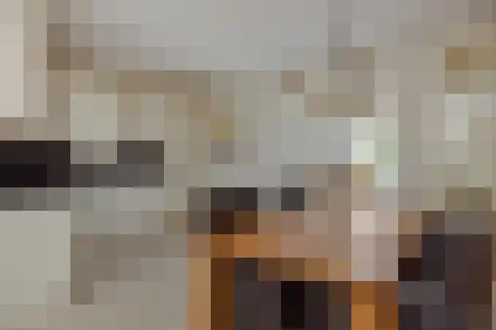 Hazenpad 4 Neerkant thumbnail 12