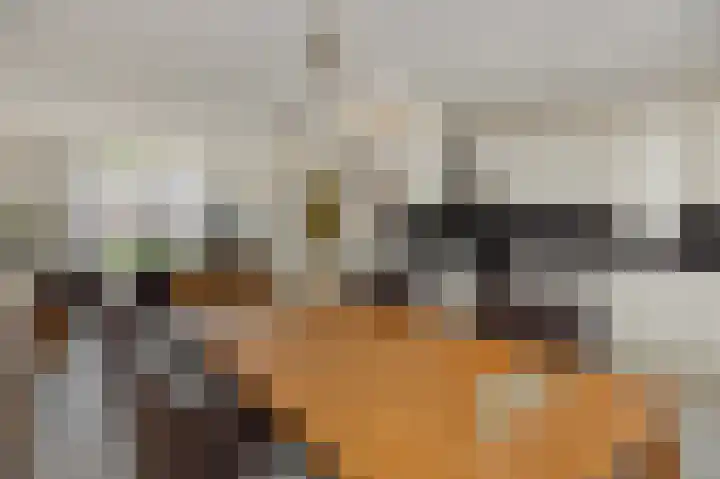 Hazenpad 4 Neerkant thumbnail 14