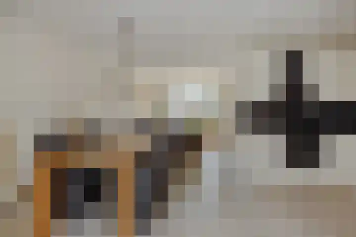 Hazenpad 4 Neerkant foto 2