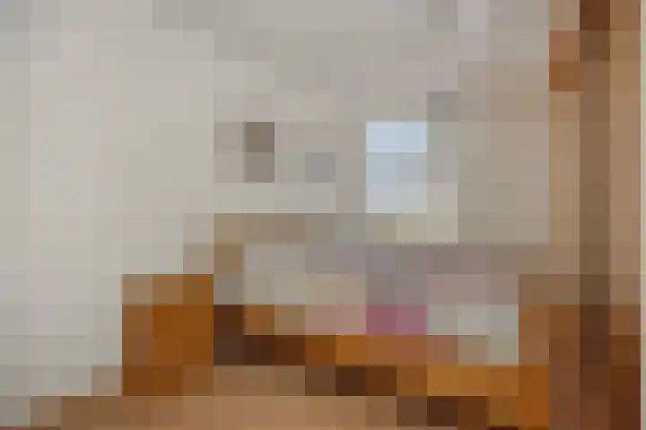 Hazenpad 4 Neerkant thumbnail 21